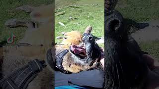 Un Gros Câlin... Mais Pas Longtemps