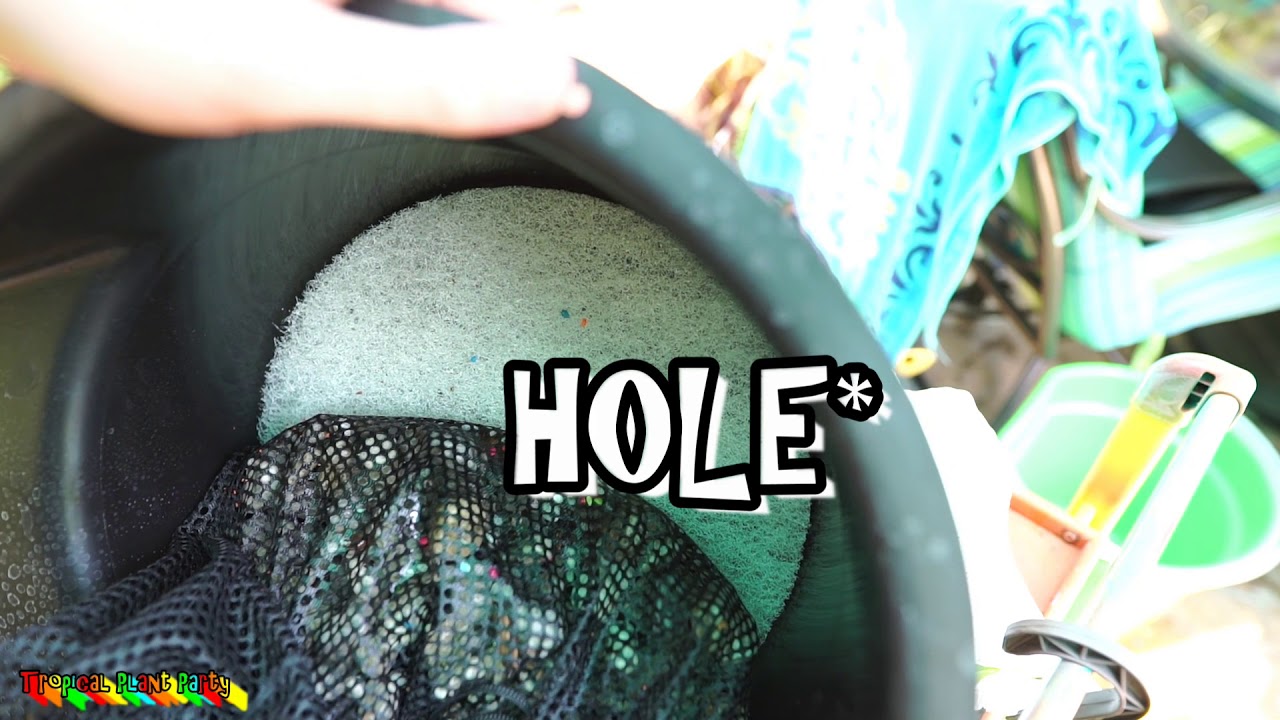 tetra pond filter setup