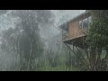 Rain and Thunder Sounds For Sleeping - 99% Instantly Fall Asleep With Torrential Rain and Thunder