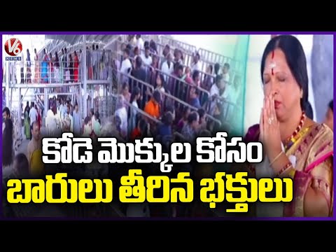 Huge Devotees Throng To Vemulawada Temple  |V6 News - V6NEWSTELUGU