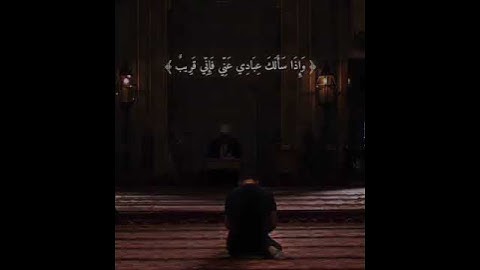 حالات واتس اب دينية قصيرة💛🌷ارح سمعك😴💙تلاوة تنسيك هموم الدنيا كلها