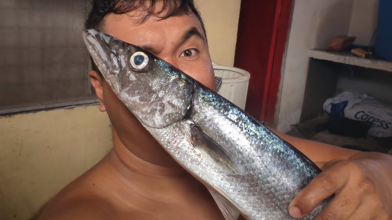 Vertical Jigging using Light Set Up