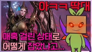 홀리나이트 서포터 맞냐고 아ㅋㅋ 혼자 찍은 슈퍼 플레이 직캠.avi