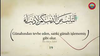 40 hadis   Allah'ın en çok sevdiği amel, az da olsa sürekli ve devamlı olanıdır.\