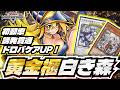 【奇跡のシナジー】『白き森×黄金櫃』爆誕!ドロバ無視で超展開!#遊戯王マスターデュエル