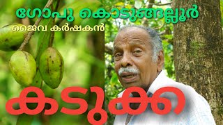 കടകകയ അറയ Gopu Kodungallur Kadukka കടകകയ ഈ വഡയയലട പരചയ പടതതനന