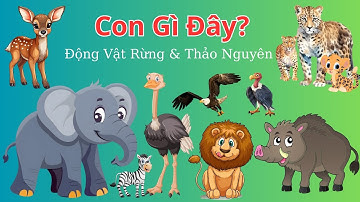 Bé Học Tên: Những Con Vật Trong Rừng Rậm Và Thảo Nguyên P2 | Con gì đây? Con Voi, Lợn, Báo, Sư Tử...
