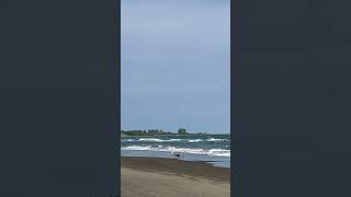 Dunas -Chachalacas Cardel, Veracruz