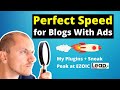 How to Score a Perfect 90-100 on Google PageSpeed Insights (Fixing GoDownsize.com!)