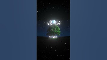 سورة الفرقان|25-26|القارئ:#محمد_اللحيدان #قران #quran #راحة_نفسية #قران_كريم#تلاوة_هادئة#تلاوة_خاشعة