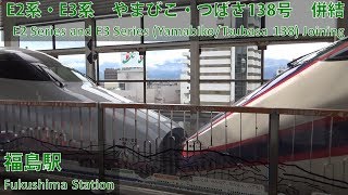 JR East E2 and E3 Series Shinkansen - Yamabiko/Tsubasa 138 - joining at Fukushima