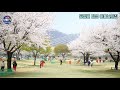 연합뉴스 밀양배 둘째날사진