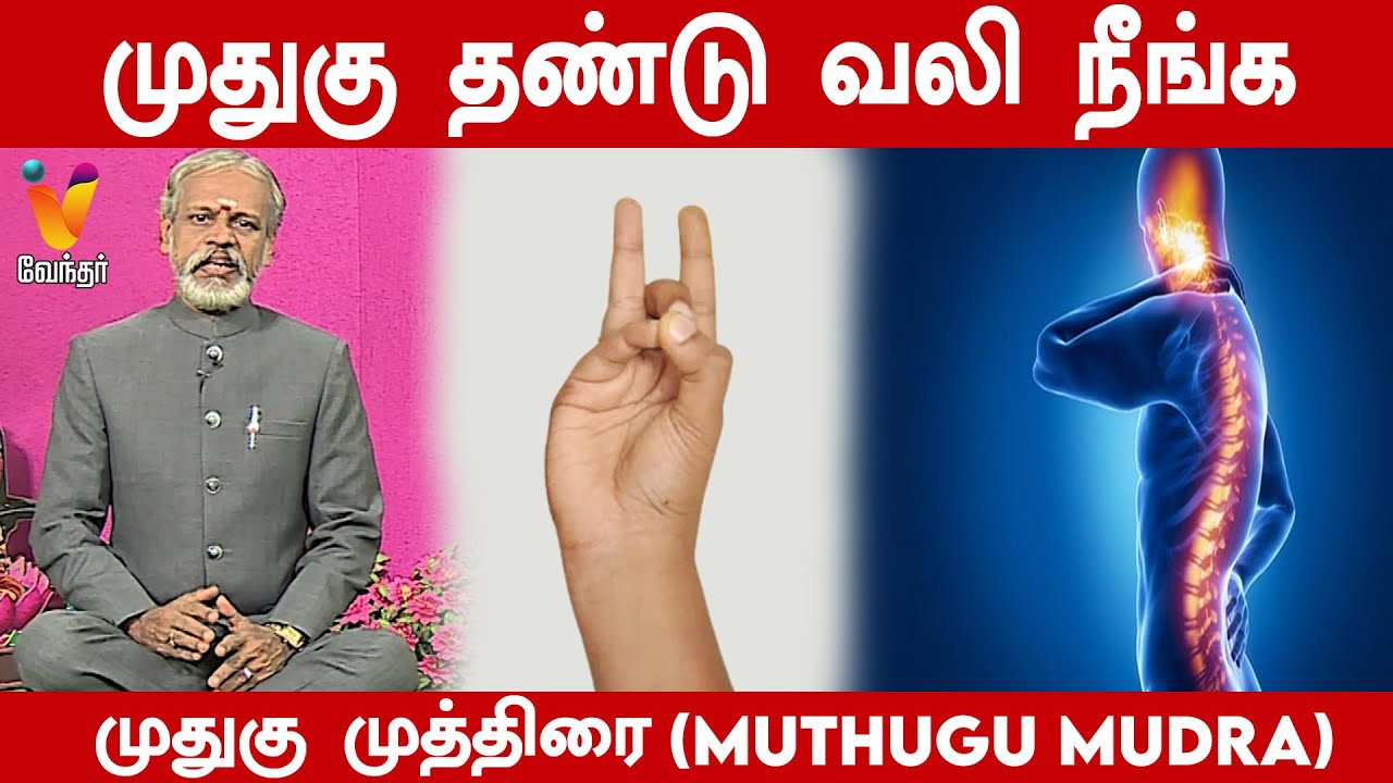 முதுகு தண்டு வலி நீங்க முதுகு முத்திரை | Muthugu mudra | Krishnan Balaji | Daily Yoga