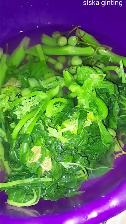 cara daun pepaya biar tidak pahit