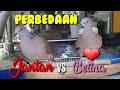 Cara Membedakan Jantan dan Betina