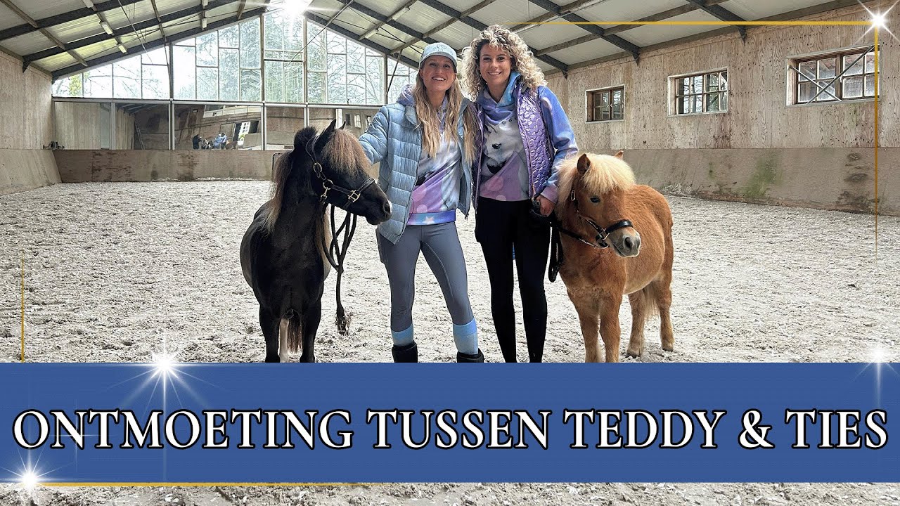 Teddy & Ties ontmoeten elkaar! 😍 | PaardenpraatTV