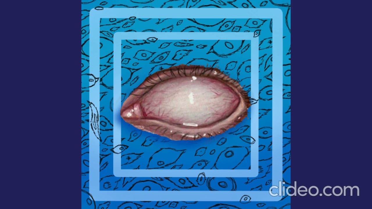 The Still, Sad Music Of Humanity