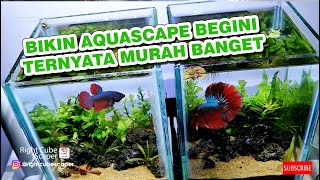 #22 BIKIN AQUASCAPE CUPANG GA NYAMPE Rp.50.000,-