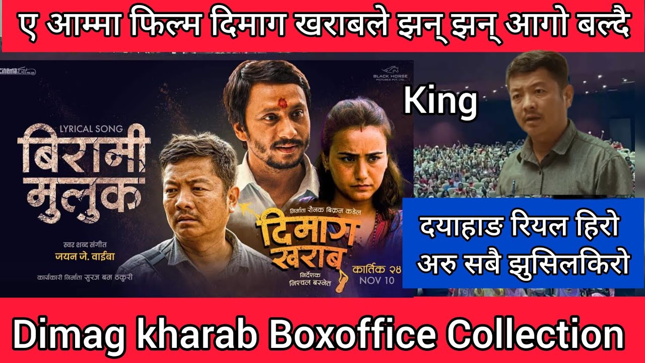 Dimag kharab Movie 32th Day BoxOffice Collection 2023 ll Dayahang Rai ll Nischal Basnet ll Swostima