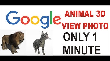 View Animals in 3D | Google Augmented Reality |Arcore