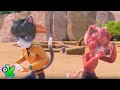 Um gato em apuros  | Shasha e Milo | Discovery Kids Brasil