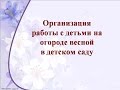 Организация работы с детьми на огороде весной в детском саду