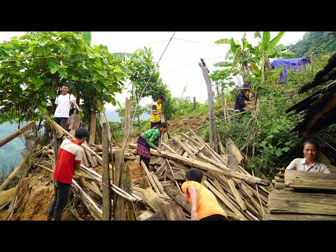 Video Dỡ chuồng gà bố chồng làm nền Nhà chị Bàu ở trong lều... - youtube