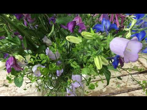 Video: Planten Met Blauwe En Paarse Bloemen