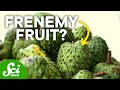 The Fruit That Could Treat Parkinson