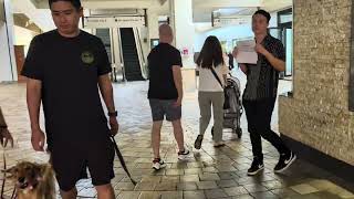 4K | Ala Moana Shopping Center | Hawaii | Walking Tour | World's Largest Outdoor Mall | 4K