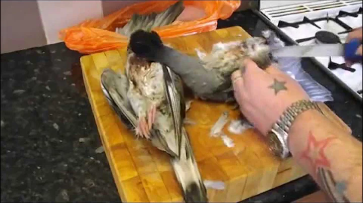 How To Pluck,Gut And Roast A Pigeon.