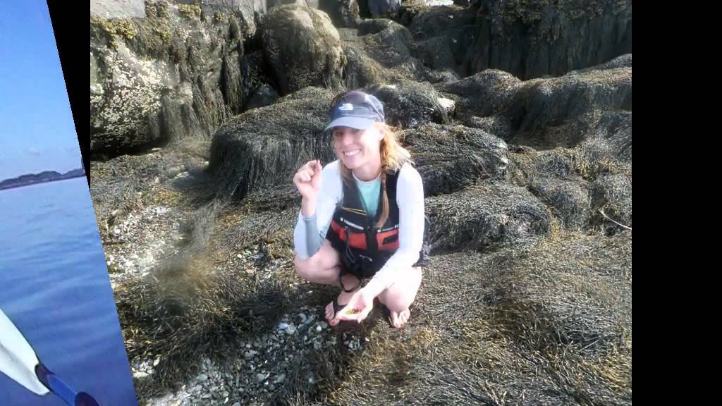 Castine Kayak Days and Adventures