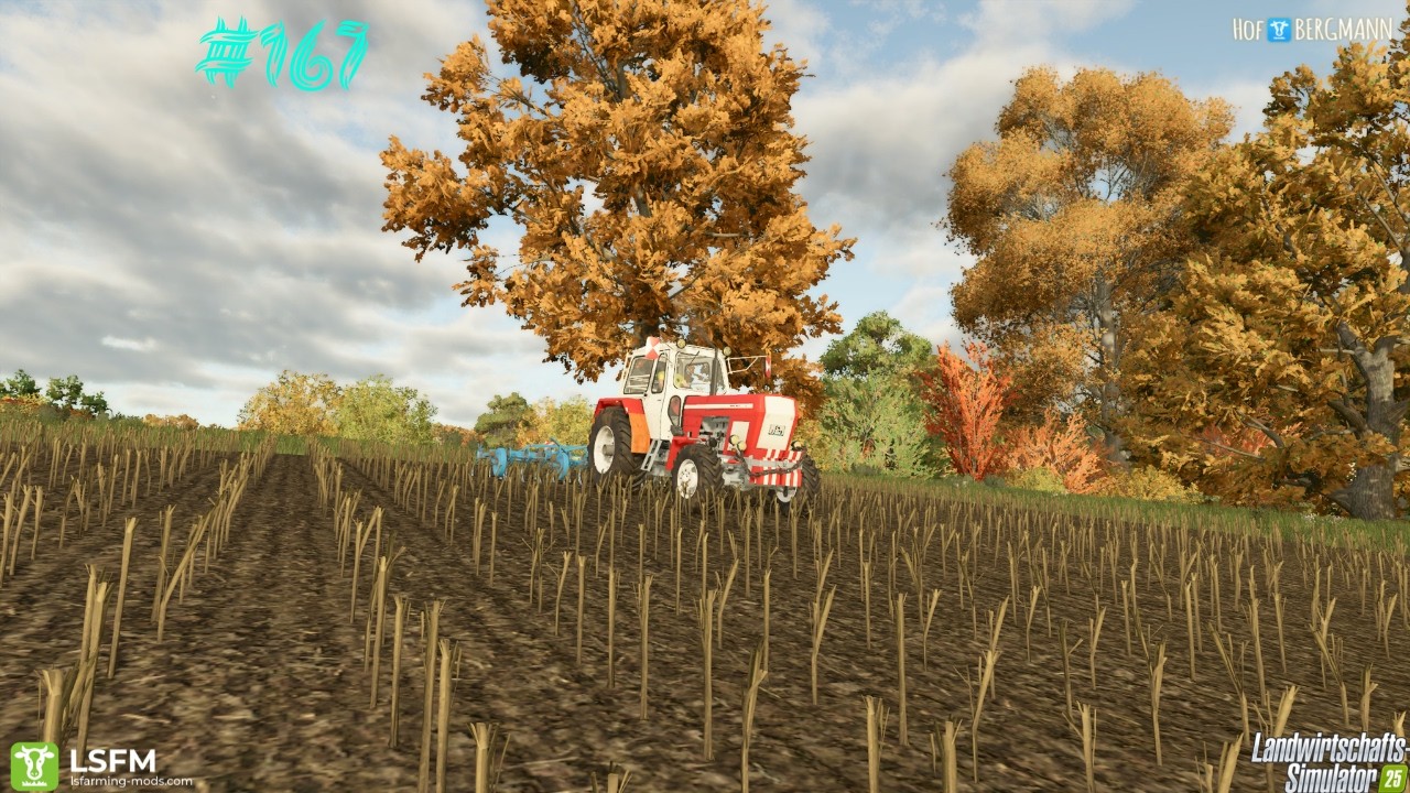 LS 25 Hof Bergmann #167 - Geld verdienen