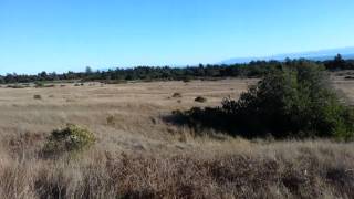 20131124_150043.mp4
