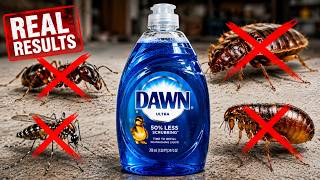 Kill Bed Bugs, Ants, Fleas, Gnats, Wasps, Moles & Mosquitoes With Dawn Dish Soap Pest Prep 101 Elm Seed Bugs