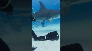 You're an OceanXplorer | Ocean Xplorers