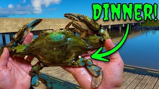 I Caught Louisiana Blue Crabs In ALLIGATOR INFESTED Waters!