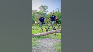 Commandos Mission❤️#army #ssgcommando #ssgcommandofamily #commando007 #pathan007 #pakcommando #ssg