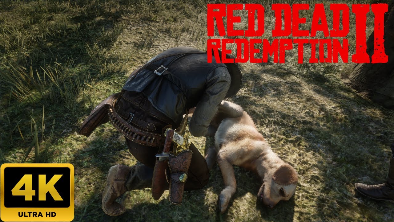 Red Dead Redemption 2 - Mission #94 Trying Again - YouTube