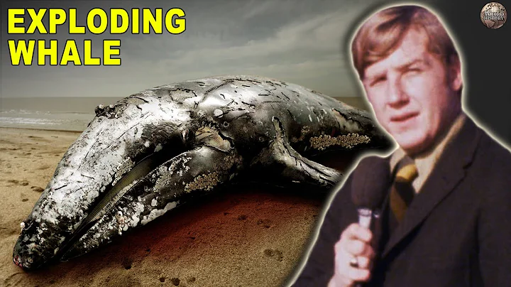 The Time They Blew Up a Whale On the Oregon Coast