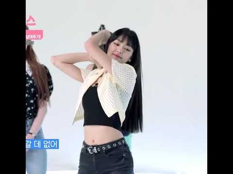 힘이 (많이)좋은 막냉이