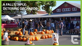 A Fall Staple: Detering Orchards by dailyemerald 29 views 5 months ago 3 minutes, 9 seconds