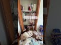 また増えてる😭終わらない子供服整理
