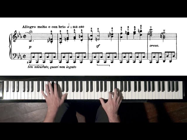Beethoven Pathétique Sonata TUTORIAL 1st Movement - P. Barton, FEURICH piano class=