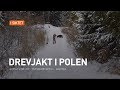 Drevjakt i Polen