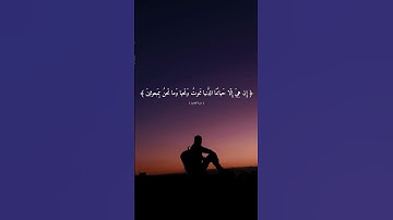 سورة المؤمنون [ 34 - 41 ] #قرآن #قران_كريم #رمضان #ياسر_الدوسري #quran