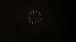 Pgi 2021 Rocket Level 4 - Twirling Parasol