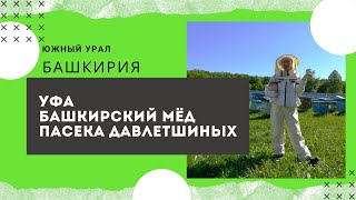 Башкирский мёд. Семейная пасека Давлетшиных. Башкирия. Южный Урал на машине. 6 серия