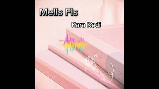 Melis Fis Kara Kedi