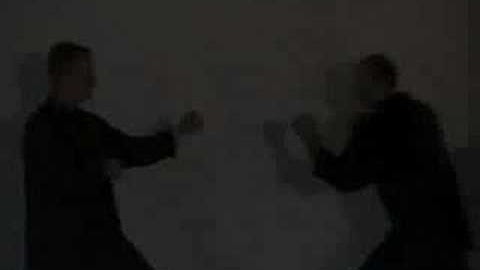 Eight Step Preying Mantis Kung Fu